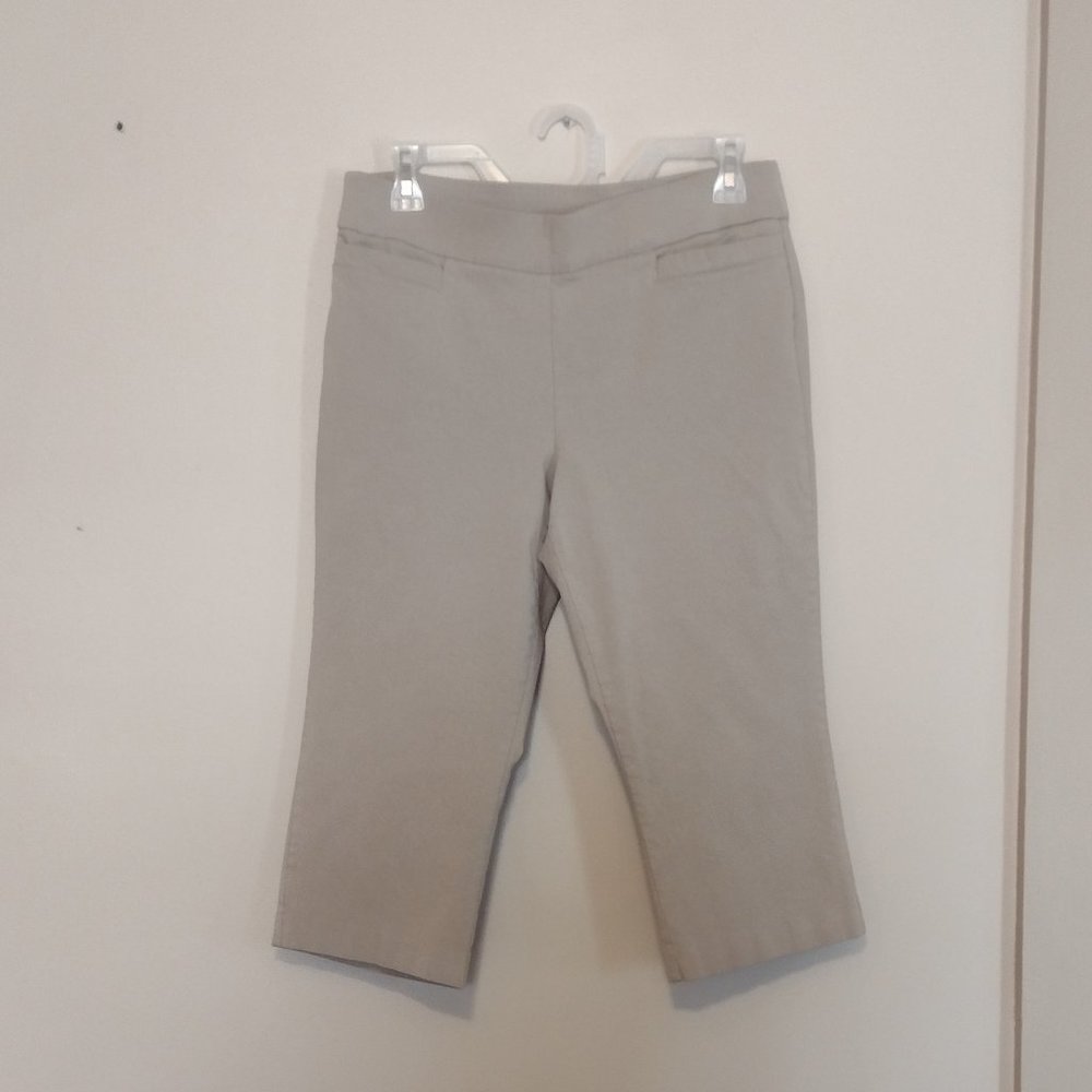 Kim Rogers Women's Capri Pants Khaki Tummy Control Pocket Plus 10 Petite